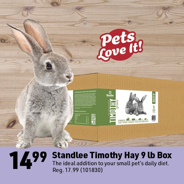 April 14 Web Image12