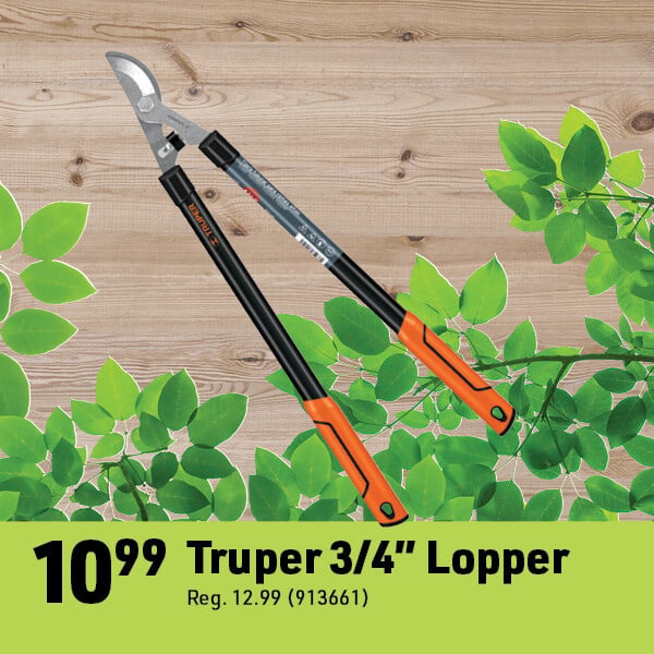 April 14 Web Image32