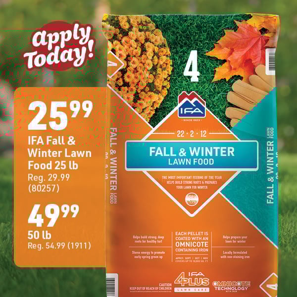 Oct 6 Web Image1