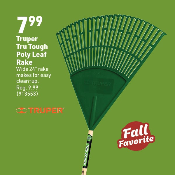 Sept 29 Web Image21