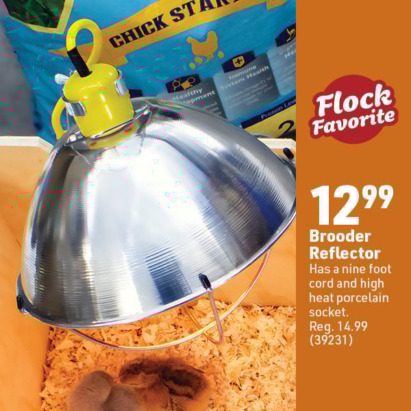 Oct 6 Web Image17