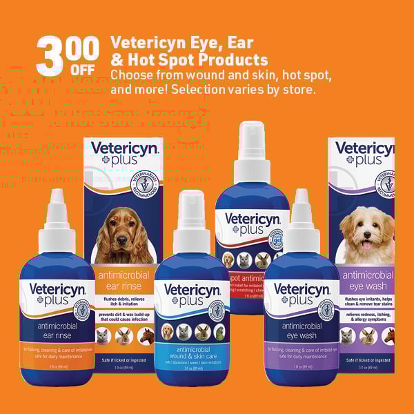 Oct 6 Web Image6