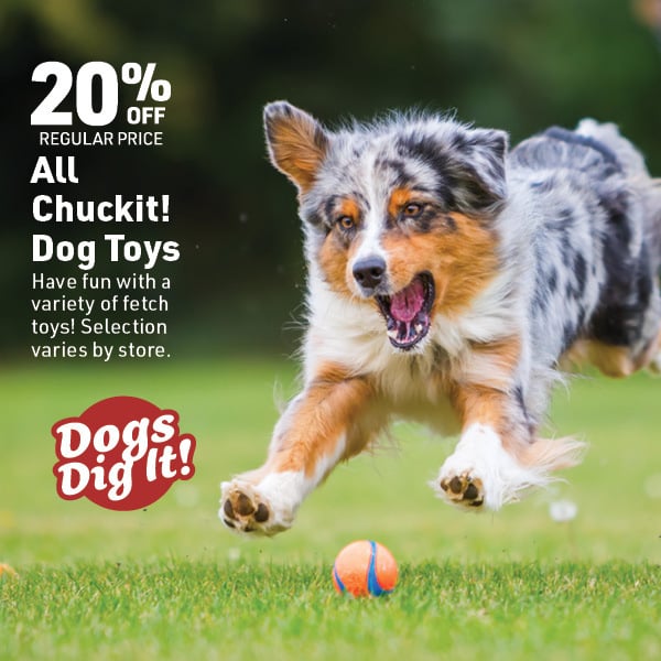 March 16 Landing Page Image1