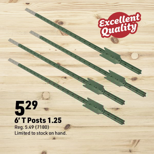 March 16 Landing Page Image10