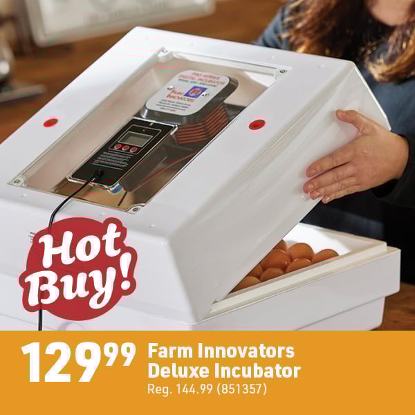 March 16 Landing Page Image12