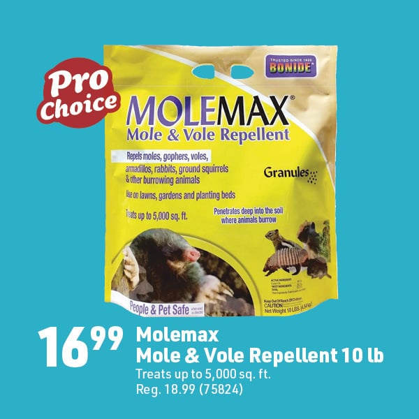 March 16 Landing Page Image13