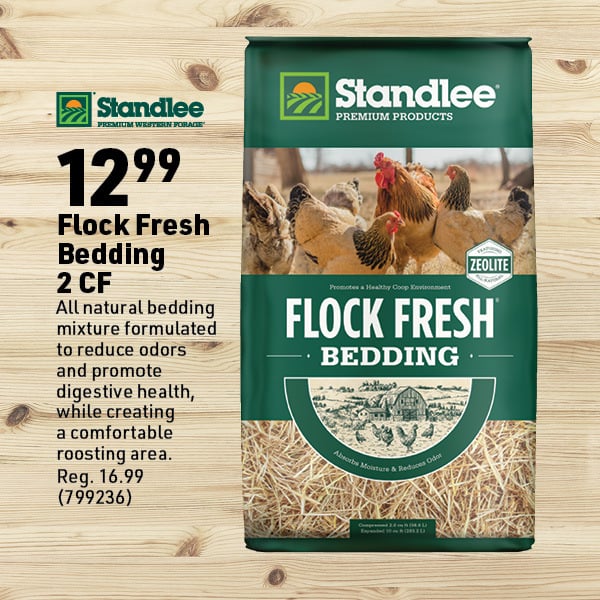 March 16 Landing Page Image14