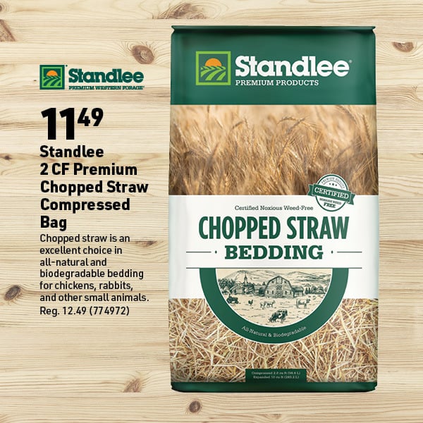 March 16 Landing Page Image15