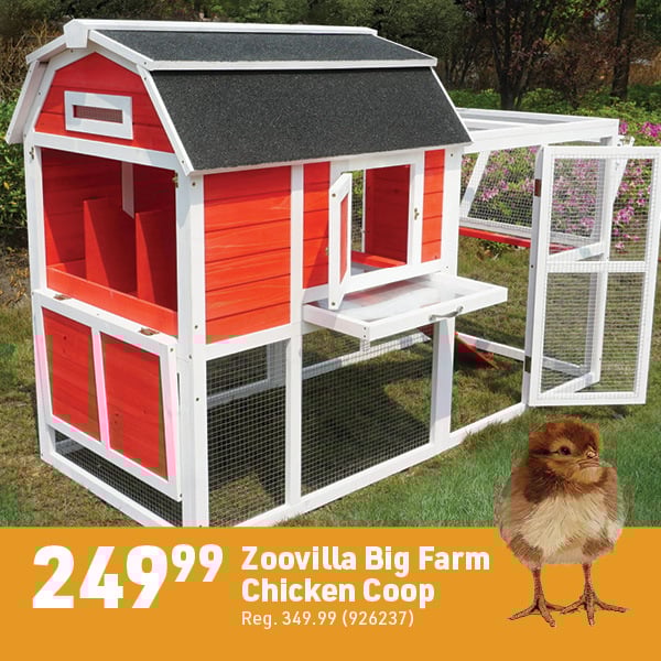 March 16 Landing Page Image16