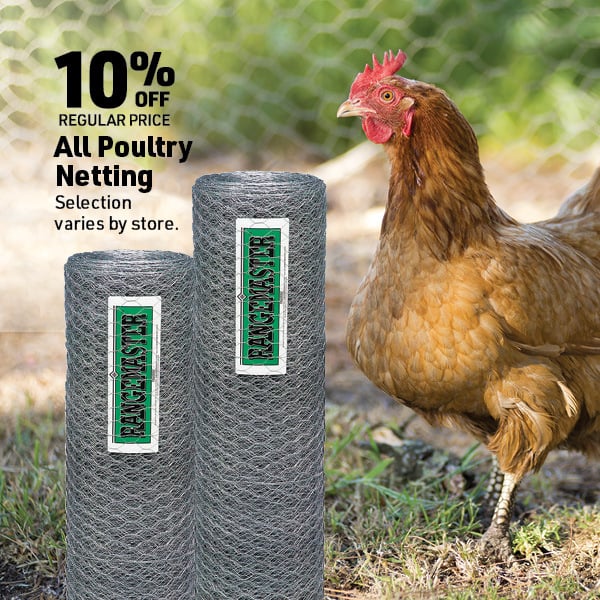 March 16 Landing Page Image17