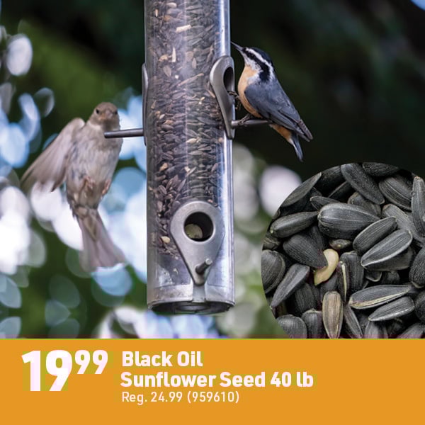 March 16 Landing Page Image18