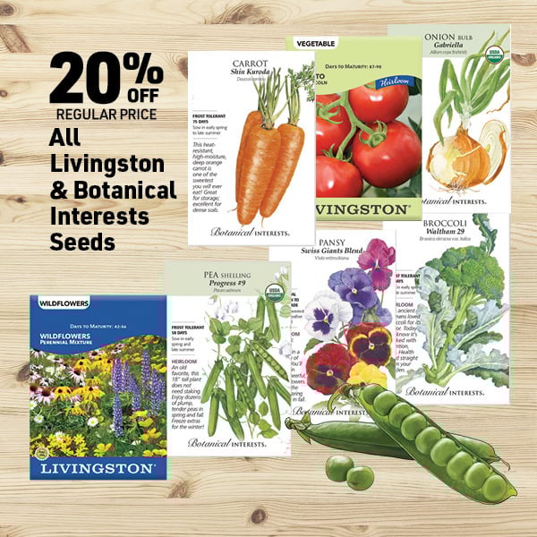 March 16 Landing Page Image20