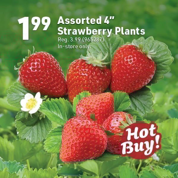 March 16 Landing Page Image23