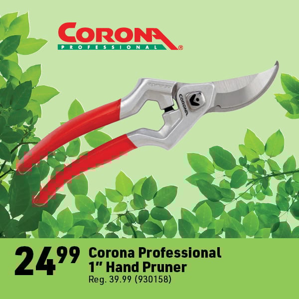 March 16 Landing Page Image24