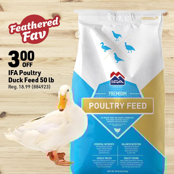 March 16 Landing Page Image25-2