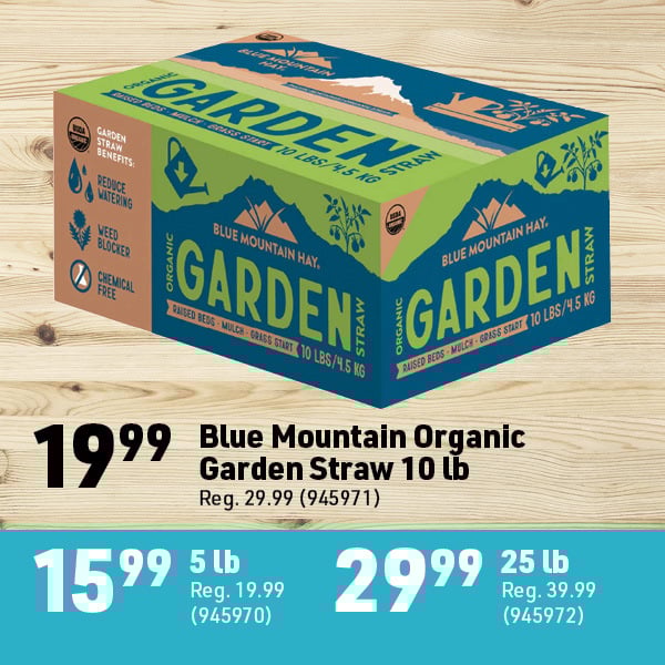 March 16 Landing Page Image26