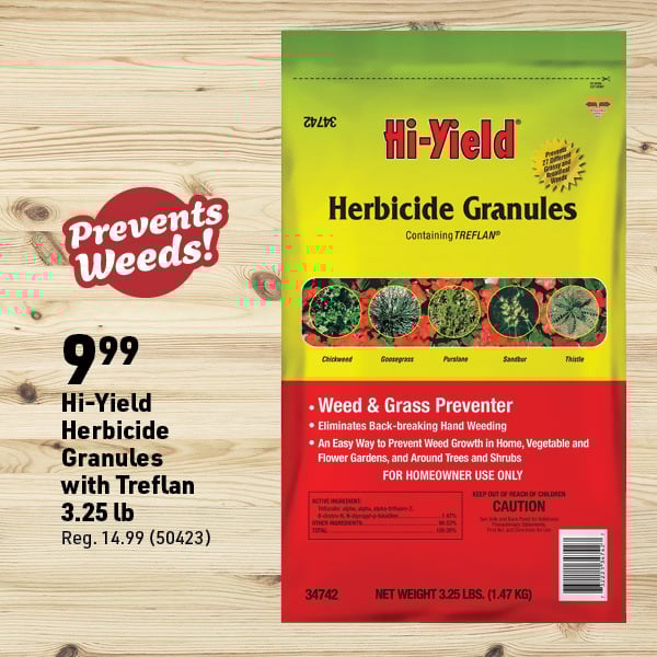 March 16 Landing Page Image29