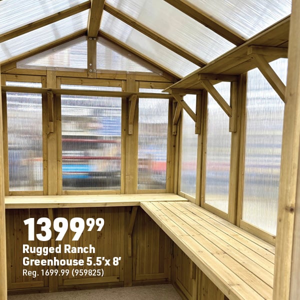 March 16 Landing Page Image31