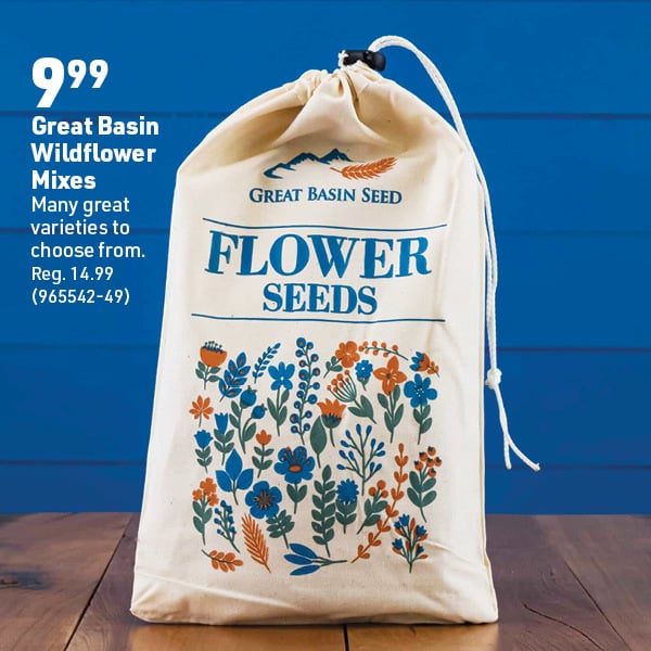 March 16 Landing Page Image32