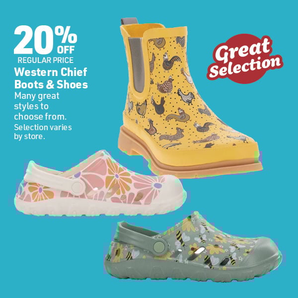 March 16 Landing Page Image33