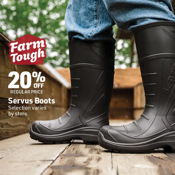 March 16 Landing Page Image34