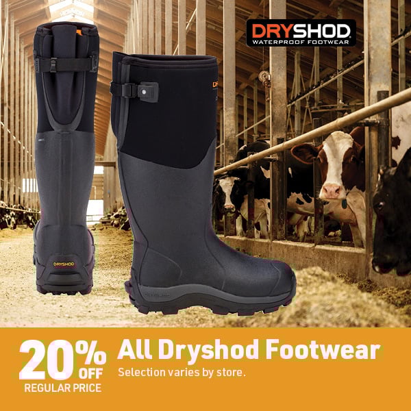 March 16 Landing Page Image39