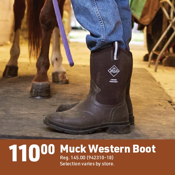 March 16 Landing Page Image40