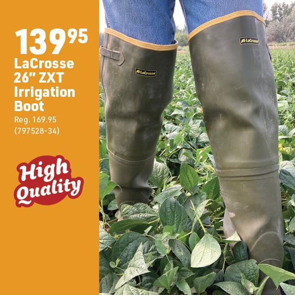 March 16 Landing Page Image41