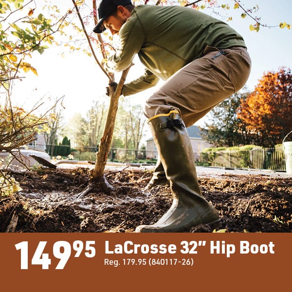 March 16 Landing Page Image42