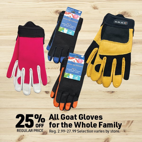 March 16 Landing Page Image46