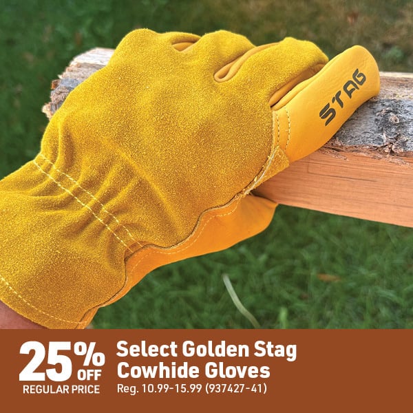 March 16 Landing Page Image47