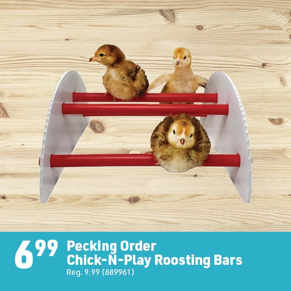 March 16 Landing Page Image49