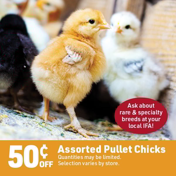 March 16 Landing Page Image5