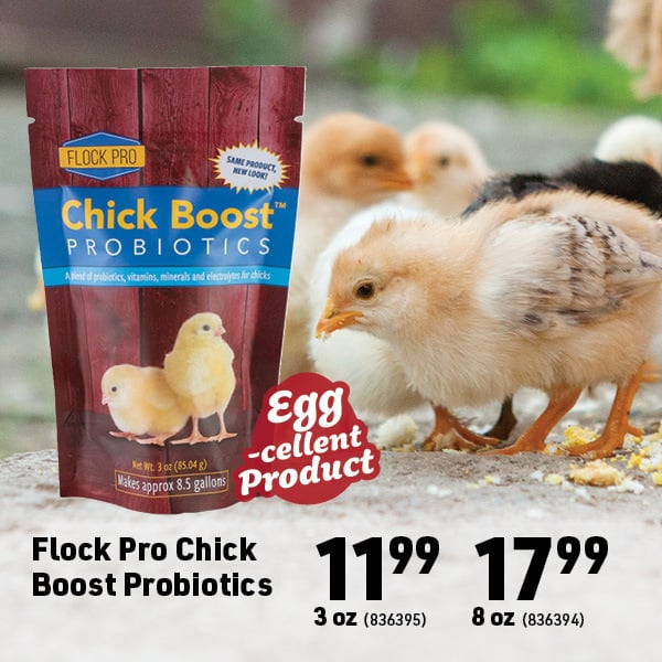 March 16 Landing Page Image51