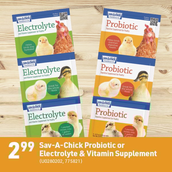 March 16 Landing Page Image52