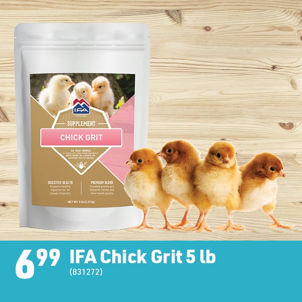 March 16 Landing Page Image53