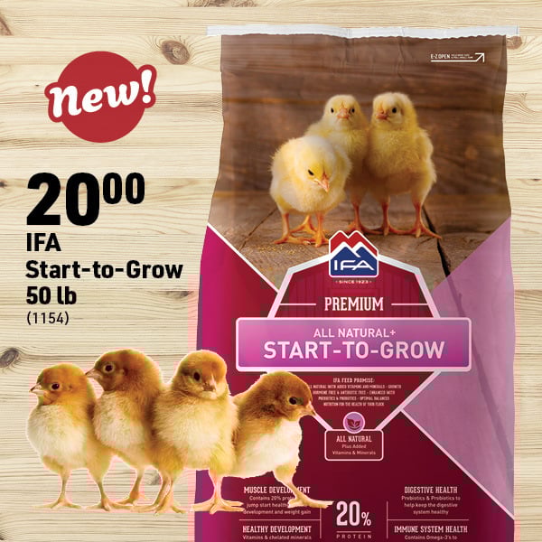 March 16 Landing Page Image54