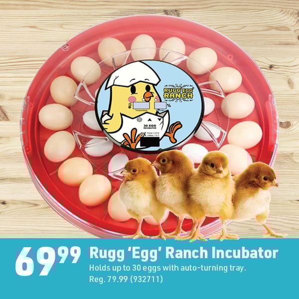 March 16 Landing Page Image55