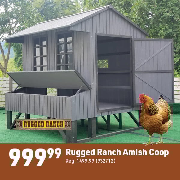 March 16 Landing Page Image57