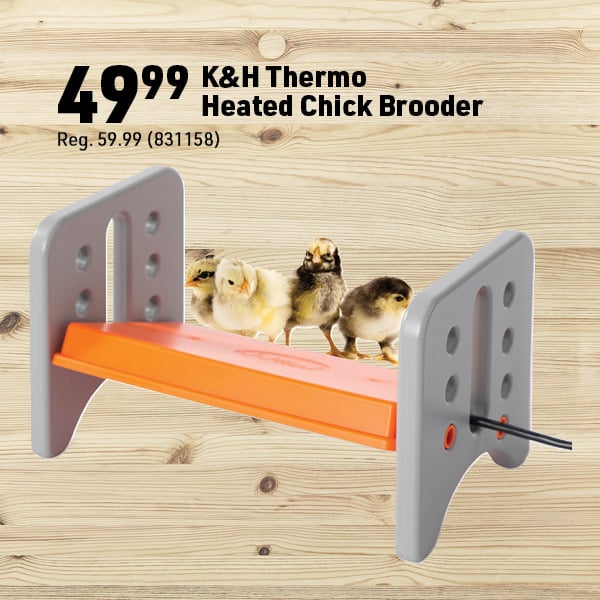 March 16 Landing Page Image6