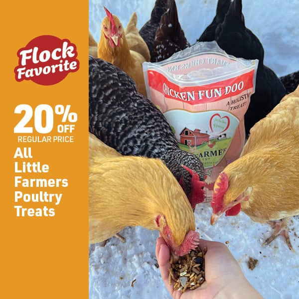 March 16 Landing Page Image60