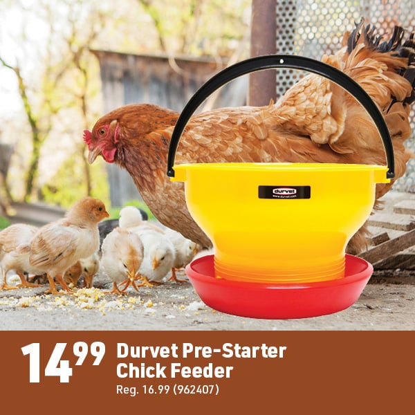 March 16 Landing Page Image61