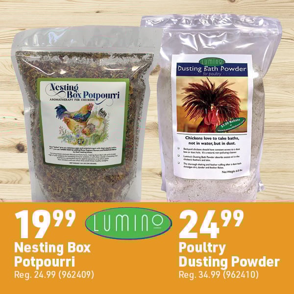 March 16 Landing Page Image62