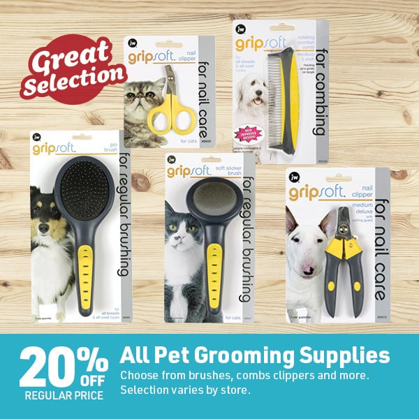 March 16 Landing Page Image65