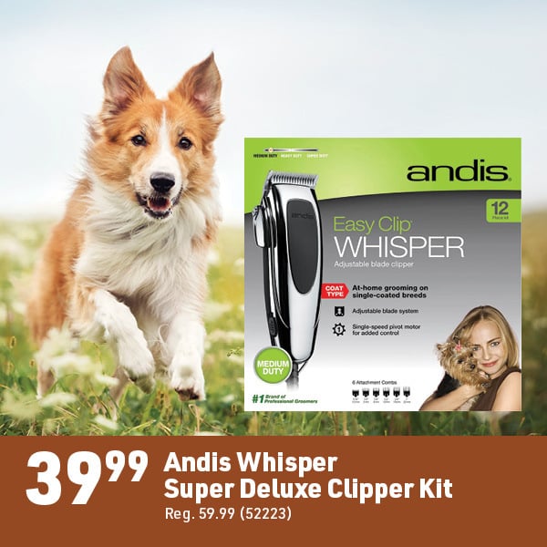 March 16 Landing Page Image66