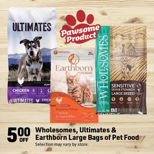 March 16 Landing Page Image67