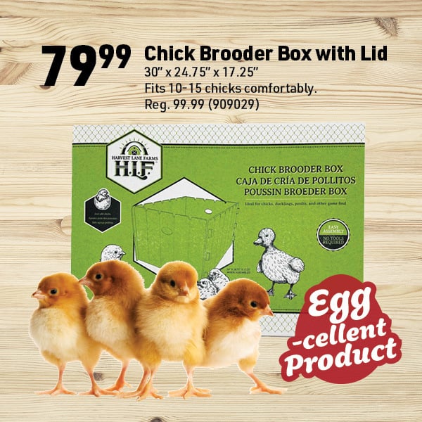 March 16 Landing Page Image7