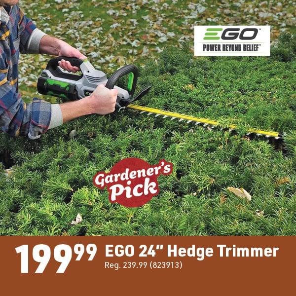 March 16 Landing Page Image70