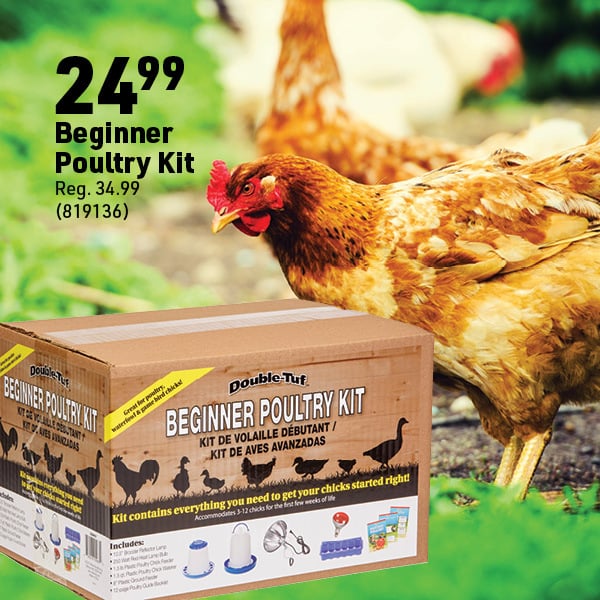 March 16 Landing Page Image8