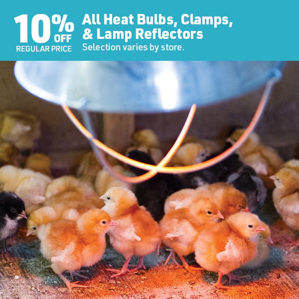 March 16 Landing Page Image9